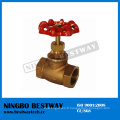 Vente chaude Bronze Globe Valve Fabricant (BW-Q14)